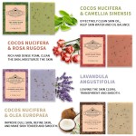 Essential Oil Soap Manufacturer - Papaya Milk