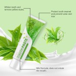 Green Tea Toothpaste Manufacturer - Charcoal Whitening
