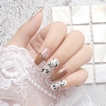 Quail Egg Gel Manufacturer - Eggshell Design