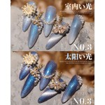 Cat Eye Varnish Supplier - Color Changing