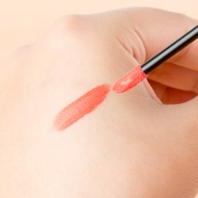 Lip Brush Manufacturer - Disposable Permanent