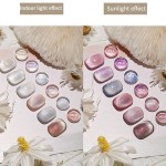 Cat Eye Varnish Supplier - Color Changing