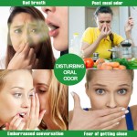 Mouth Spray Factory - Mint Flavor Portable