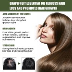 Hair Growth Oil Manufacturer - Rosemary Essential