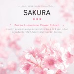 Body Lotion Manufacturer - SAKURA Whitening