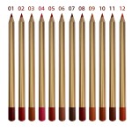 Lip Liner Pencil Supplier - Brown Mineral Infused