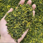 Oolong Tea Factory - Osmanthus Tieguanyin