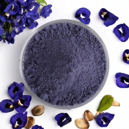 Butterfly Pea Powder Supplier - 100g Baking