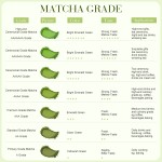 Matcha Powder Manufacturer - Ceremonial Grade OEM