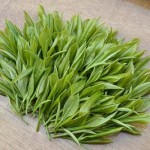 Green Tea Gift Box Factory - Organic Slim