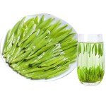 Organic Green Tea Manufacturer - Chunmee 41022