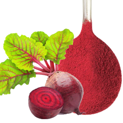 Beetroot Powder Factory - Acidity Regulators