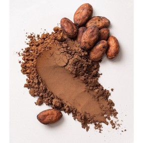 Cocoa Powder Factory - Bulk Bakery