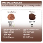 Cocoa Powder Factory - Bulk Bakery