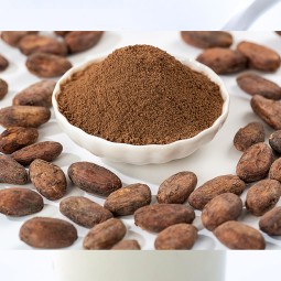 Raw Cacao Supplier - Sugar Free Low Fat