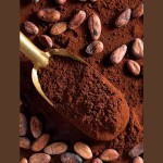 Cocoa Powder Factory - Bulk Bakery
