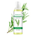 Rosemary Essential Oil Supplier - Pure Natural Hair Care