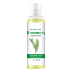 Organic Rosemary Oil Factory - Free Sample Available