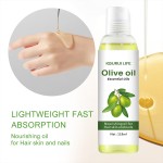 Olive Oil Manufacturer - Organic Cold Pressed Carrier Oil