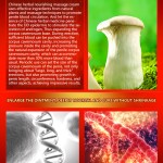 Penile Cream Factory - Delay Enlargement Custom