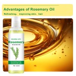 Organic Rosemary Oil Factory - Free Sample Available