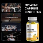Creatine Gummies Supplier - Sport Exercise