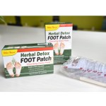 Green Tea Powder Manufacturer - Spring Fresh