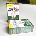 Green Tea Powder Manufacturer - Spring Fresh