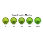 Green Tea Powder Manufacturer - 5AAAAA Grade