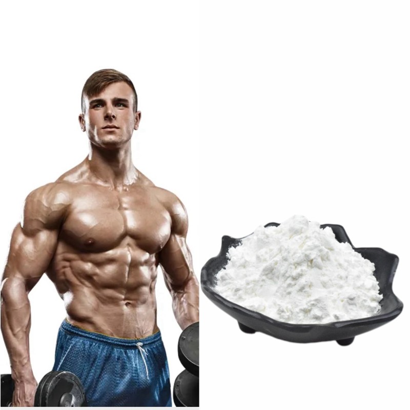 Creatine Monohydrate Supplier - Nitrate Option