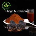 Chaga Extract Manufacturer - 10%-50% Polysaccharides