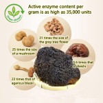 Chaga Extract Manufacturer - 10%-50% Polysaccharides