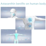 Astaxanthin Softgel Supplier - 12mg 24mg