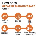 Creatine Powder Supplier - ODM Nutrition