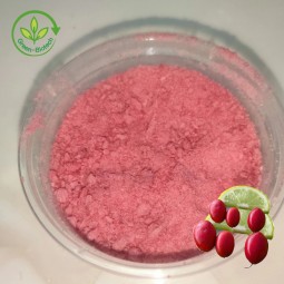 Miracle Berry Extract Supplier - 100% Pure
