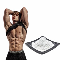 Creatine Monohydrate Supplier - Food Supplement