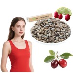 Freeze-dried Berry Factory - Best Price