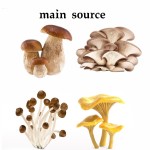 Ergothioneine Powder Supplier - Wholesale Anti-Aging