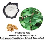 Boswellia Extract Supplier - Boswellic Acid