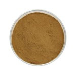 Shiitake Beta Glucan Factory - Healthcare Supplement