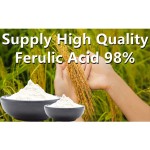 Alpha Arbutin Supplier - Pure Powder