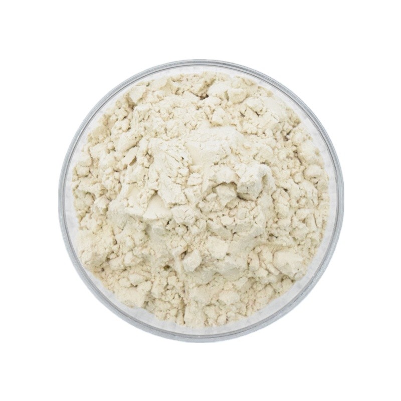 Beta Glucan Supplier - 100% Yeast Oat