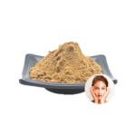 Chaga Mushroom Powder Supplier - 30% Polysaccharide