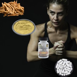 Cinnamon Extract Manufacturer - Ceylon Pure