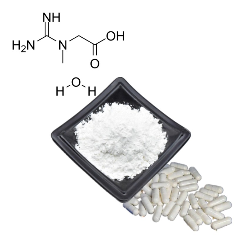 Creatine Monohydrate Manufacturer - Muscle Building