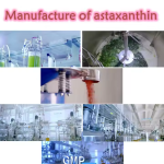 Astaxanthin Oil Supplier - 10% Haematococcus