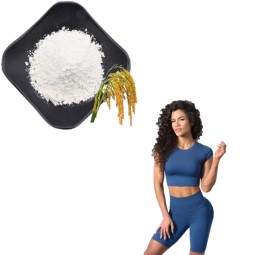 Alpha Arbutin Supplier - Pure Powder