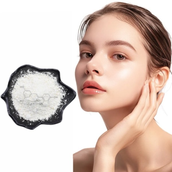 Resveratrol Powder Factory - Polygonum Cuspidatum