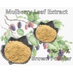 Bitter Melon Extract Supplier - High Quality