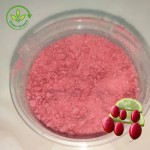 Mystery Fruit Powder Factory - Sour Taste Change